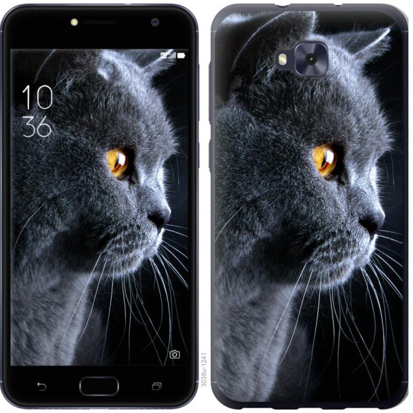 

Чехол на Asus ZENFONE 4 SELFIE / ZD553KL Красивый кот (04798)