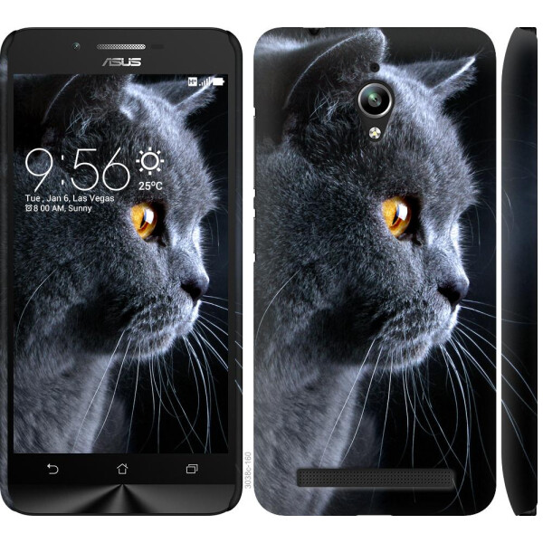 

Чехол на Asus Zenfone Go ZC500TG Красивый кот (04798)