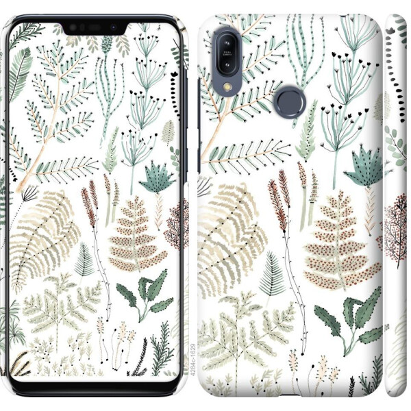 

Чехол на Asus Zenfone Max M2 ZB633KL Ветки (04798)