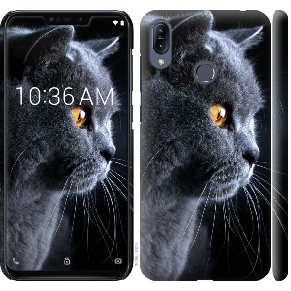 

Чехол на Asus Zenfone Max M2 ZB633KL Красивый кот (04798)