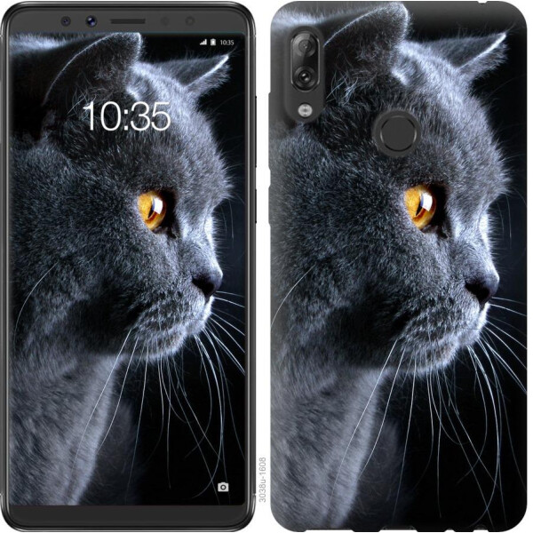 

Чехол на Asus ZenFone Max Pro M1 ZB602KL Красивый кот (04798)