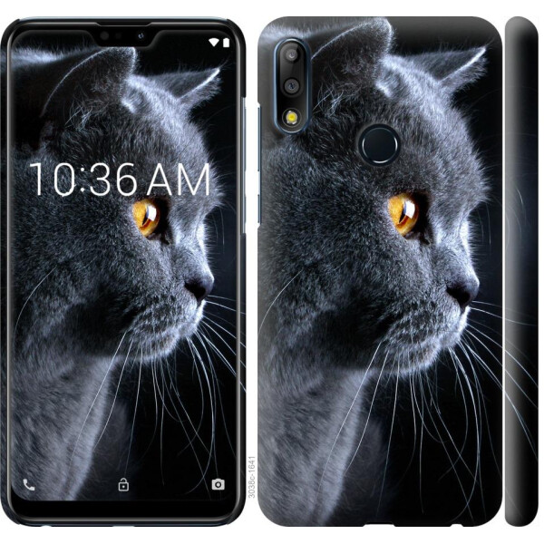 

Чехол на Asus Zenfone Max Pro M2 ZB631KL Красивый кот (04798)