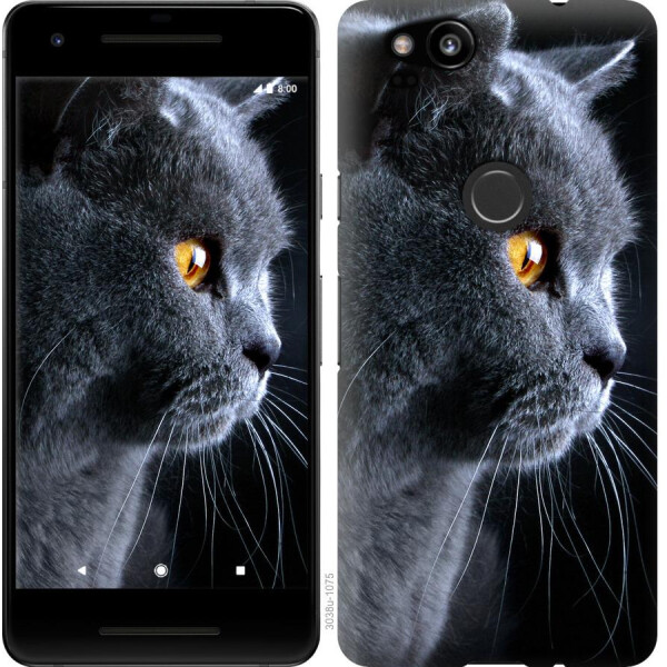 

Чехол на Google Pixel 2 Красивый кот (04798)