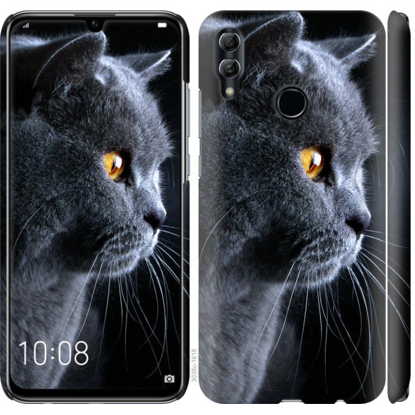 

Чехол на Huawei Honor 10 Lite Красивый кот (04798)