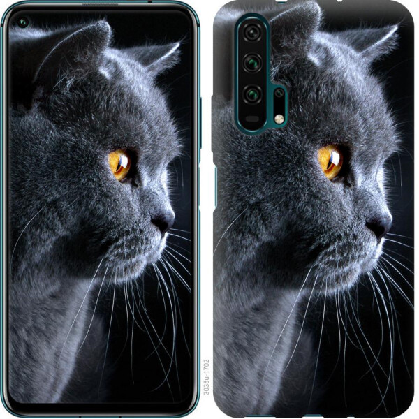 

Чехол на Huawei Honor 20 Pro Красивый кот (04798)