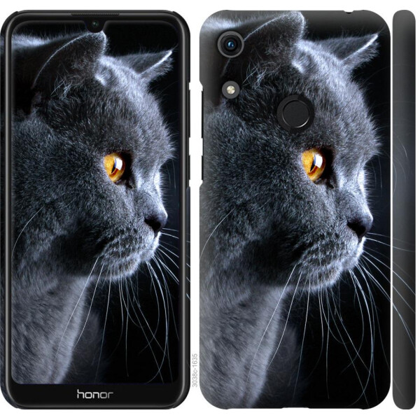 

Чехол на Huawei Honor 8A Красивый кот (04798)