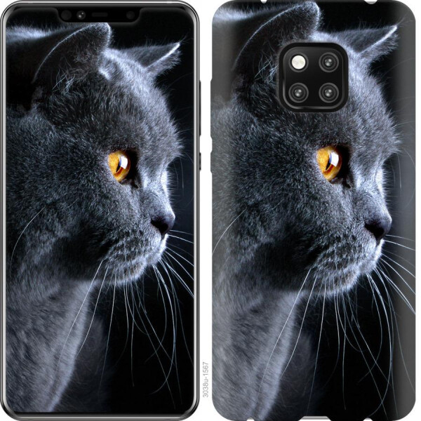 

Чехол на Huawei Mate 20 Pro Красивый кот (04798)