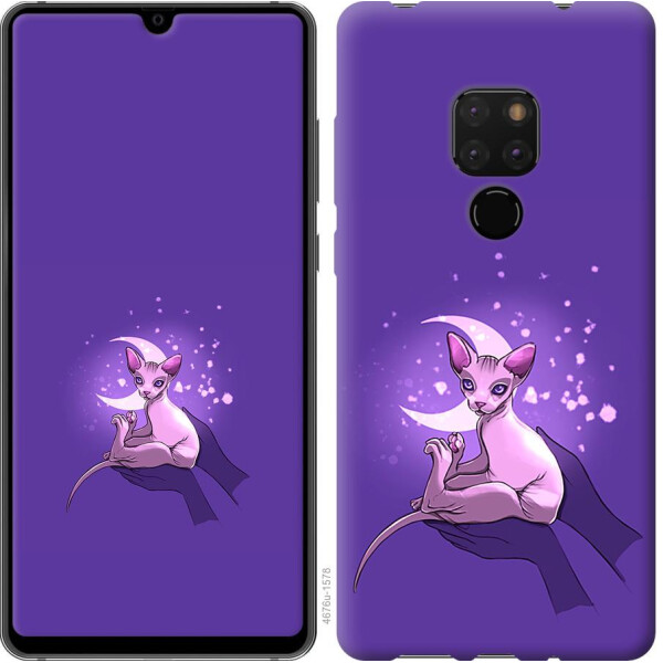 

Чехол на Huawei Mate 20 Кот2 (04798)
