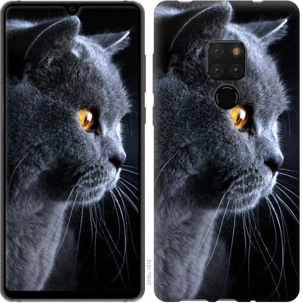

Чехол на Huawei Mate 20 Красивый кот (04798)