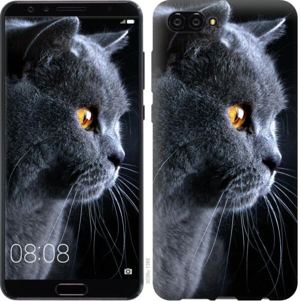 

Чехол на Huawei Nova 2S Красивый кот (04798)