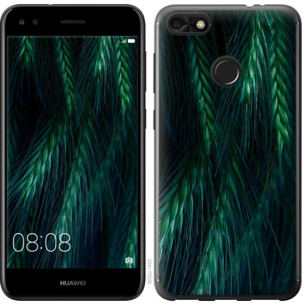 

Чехол на Huawei Nova Lite 2017 Колоски (04798)