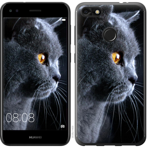 

Чехол на Huawei Nova Lite 2017 Красивый кот (04798)