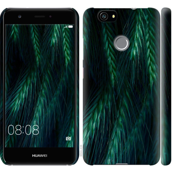 

Чехол на Huawei Nova Колоски (04798)