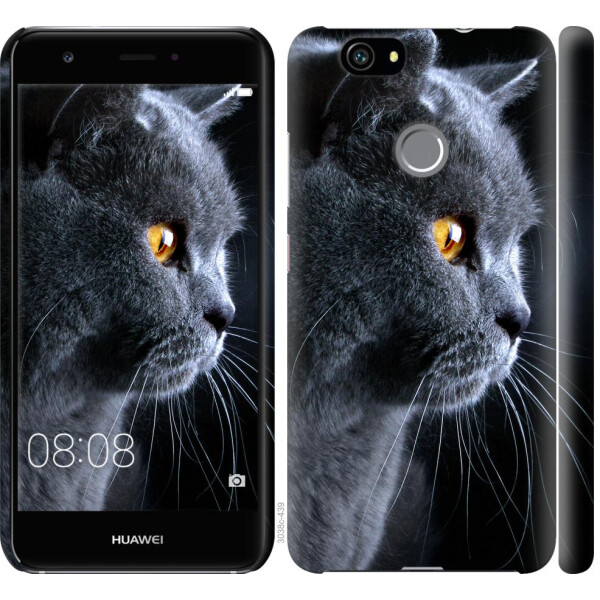 

Чехол на Huawei Nova Красивый кот (04798)