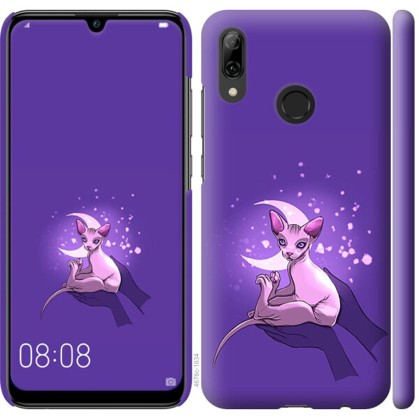 

Чехол на Huawei P Smart 2019 Кот2 (04798)