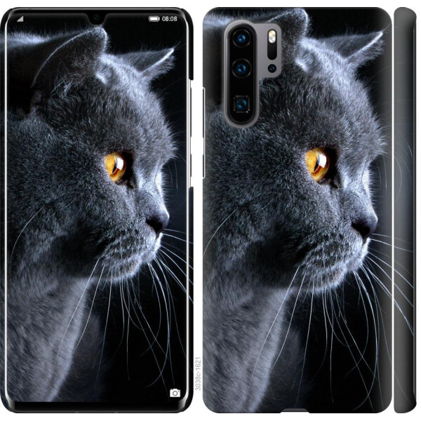 

Чехол на Huawei P30 Pro Красивый кот (04798)