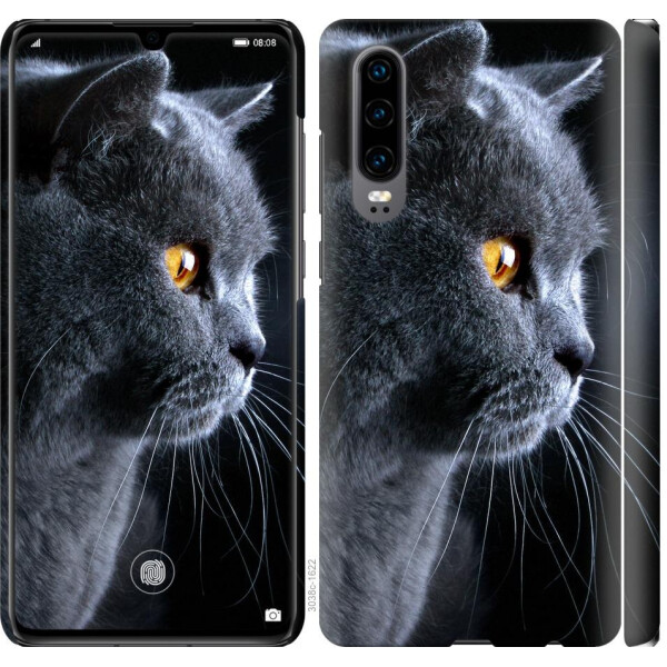 

Чехол на Huawei P30 Красивый кот (04798)