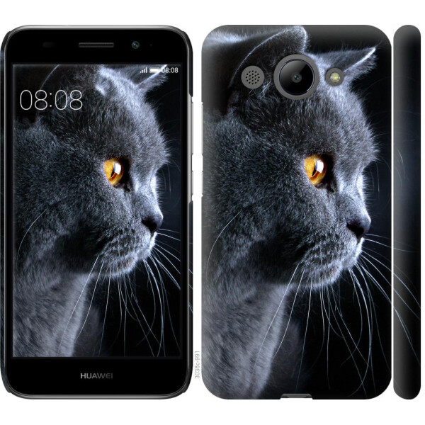 

Чехол на Huawei Y3 2017 Красивый кот (04798)