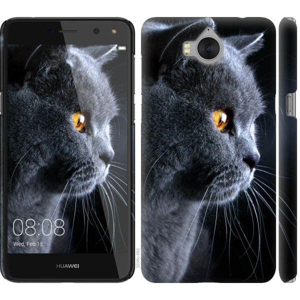 

Чехол на Huawei Y5 2017 Красивый кот (04798)