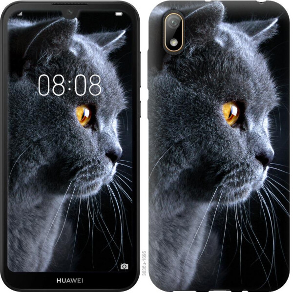 

Чехол на Huawei Y5 2019 Красивый кот (04798)