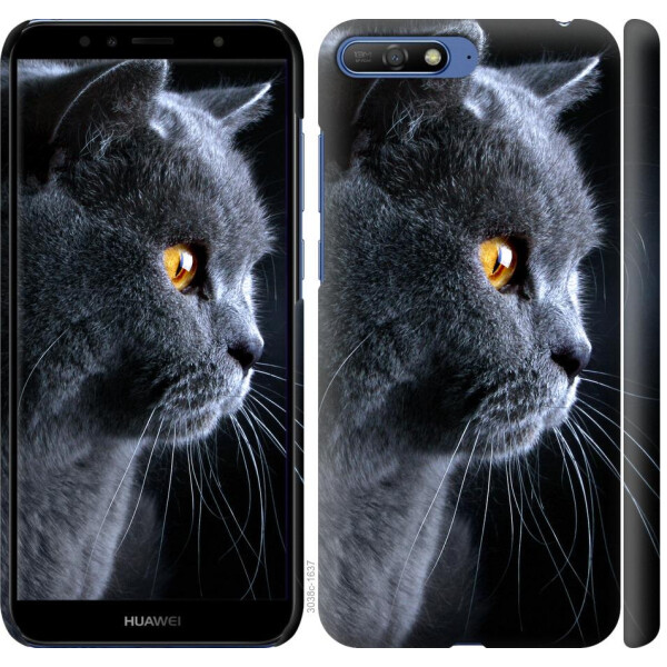

Чехол на Huawei Y6 2018 Красивый кот (04798)