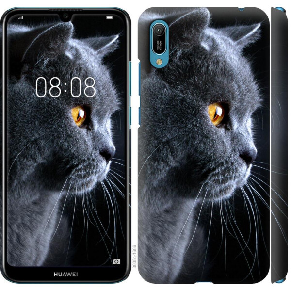 

Чехол на Huawei Y6 2019 Красивый кот (04798)
