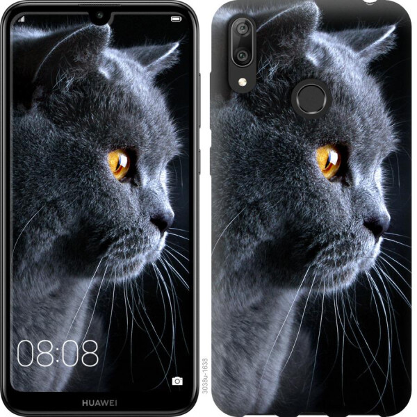 

Чехол на Huawei Y7 2019 Красивый кот (04798)