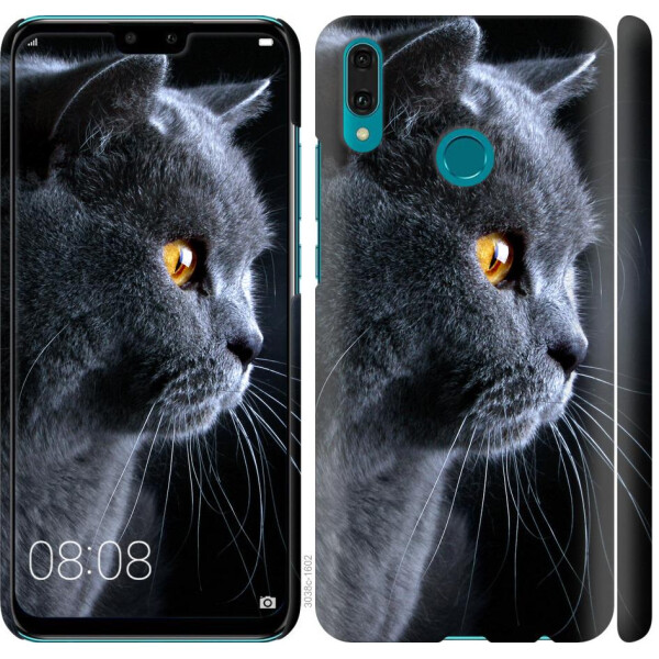

Чехол на Huawei Y9 2019 Красивый кот (04798)