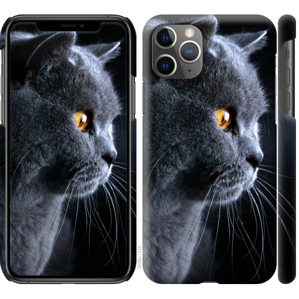 

Чехол на iPhone 11 Pro Max Красивый кот (04798)