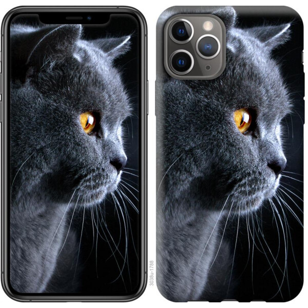 

Чехол на iPhone 11 Pro Красивый кот (04798)