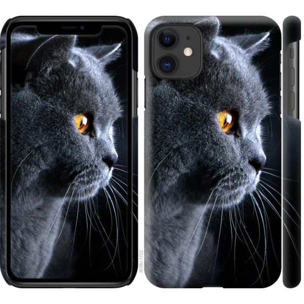 

Чехол на iPhone 11 Красивый кот (04798)