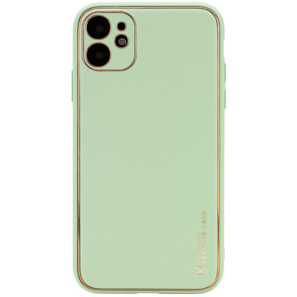 

Кожаный чехол Xshield для Apple iPhone 12 (6.1") Зеленый / Pistachio (is_00000039913_8)