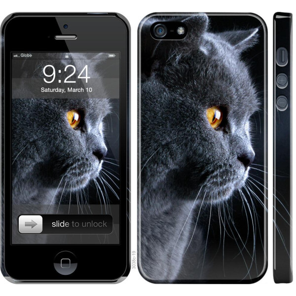 

Чехол на iPhone 5s Красивый кот (04798)