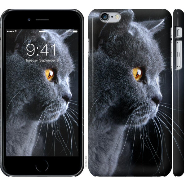 

Чехол на iPhone 6s Plus Красивый кот (04798)