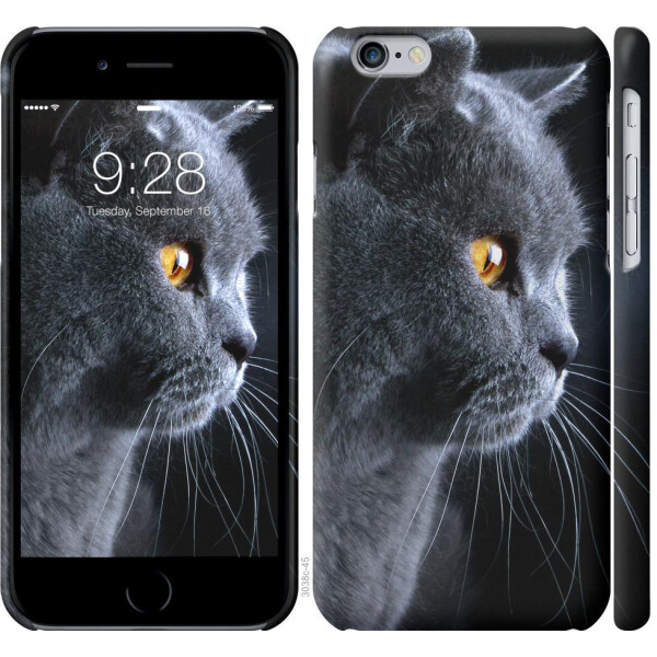 

Чехол на iPhone 6s Красивый кот (04798)