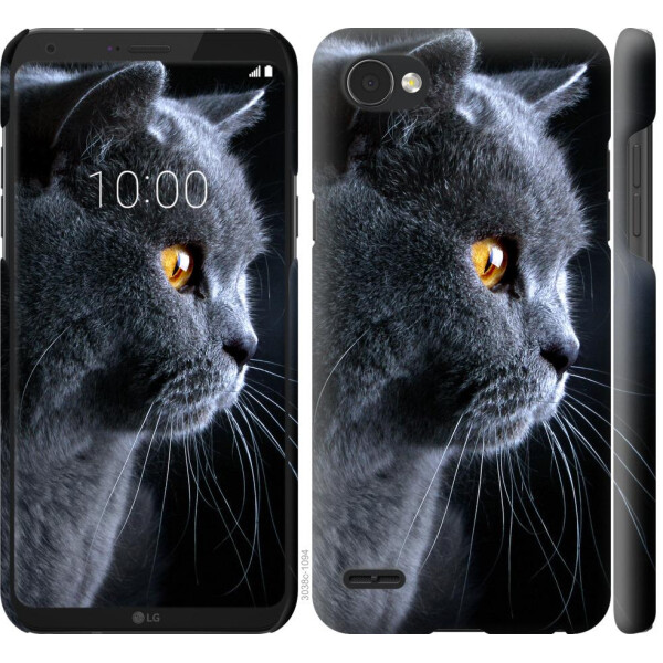 

Чехол на LG Q6 Красивый кот (04798)