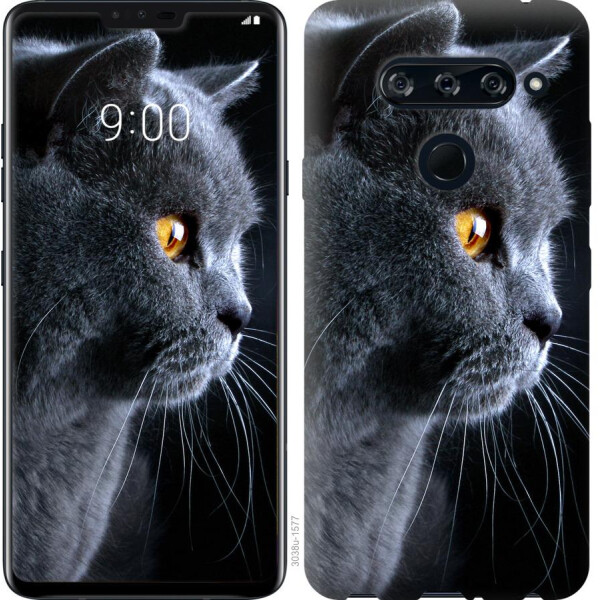 

Чехол на LG V40 ThinQ Красивый кот (04798)