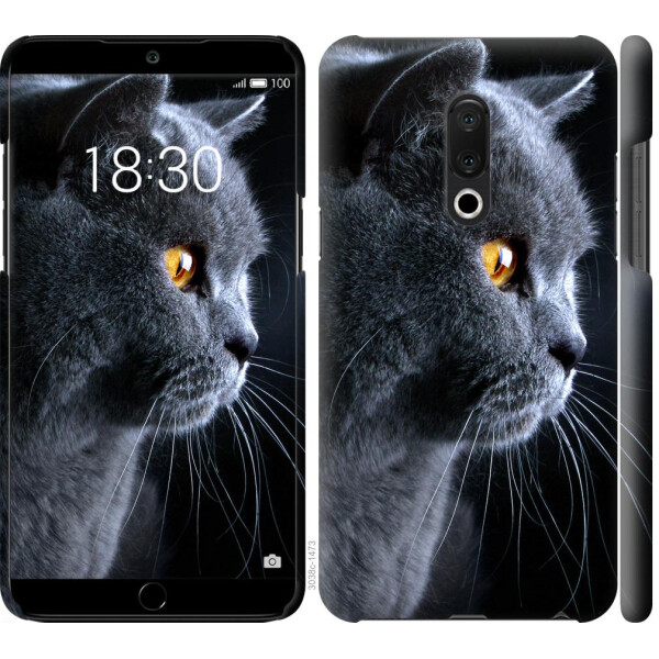 

Чехол на Meizu 15 Plus Красивый кот (04798)