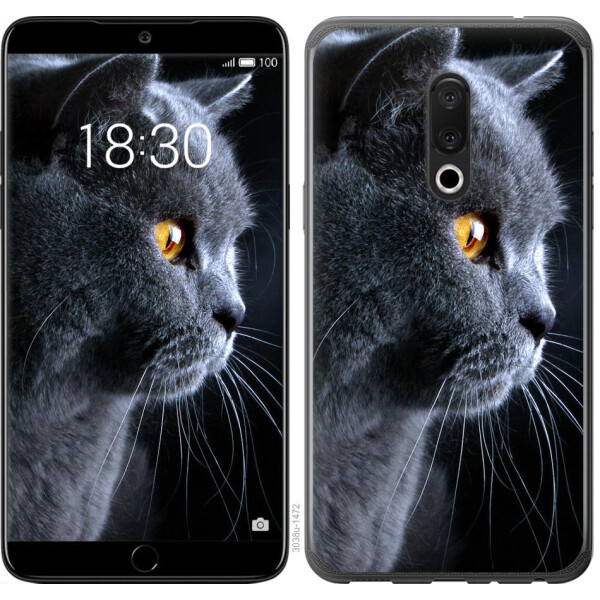 

Чехол на Meizu 15 Красивый кот (04798)