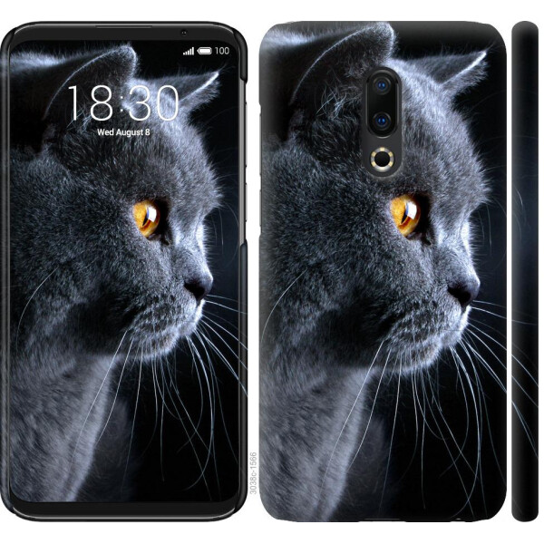 

Чехол на Meizu 16 Plus Красивый кот (04798)