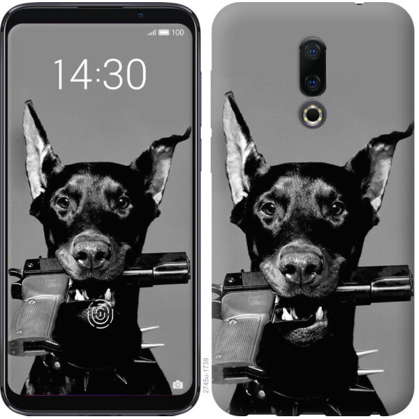 

Чехол на Meizu 16 Доберман (04798)