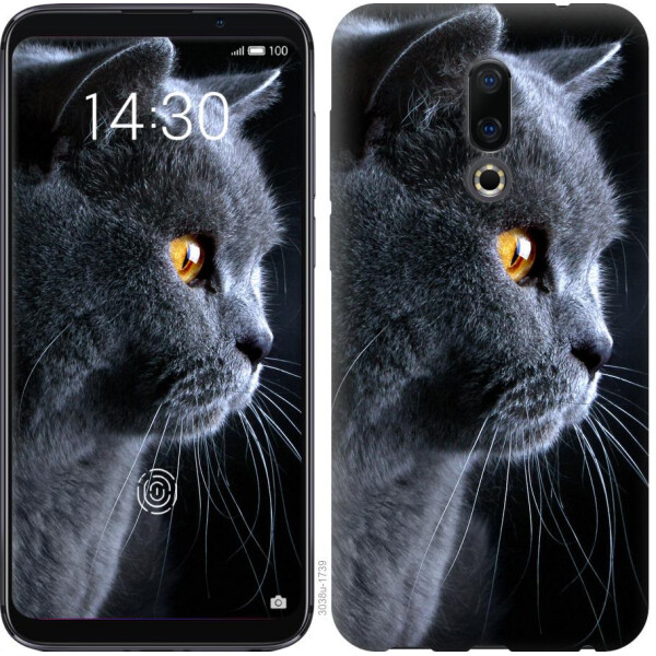 

Чехол на Meizu 16 Красивый кот (04798)
