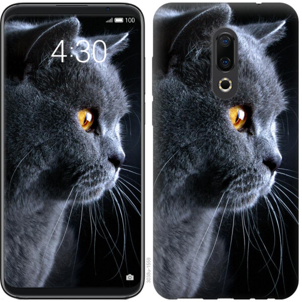 

Чехол на Meizu 16th Красивый кот (04798)