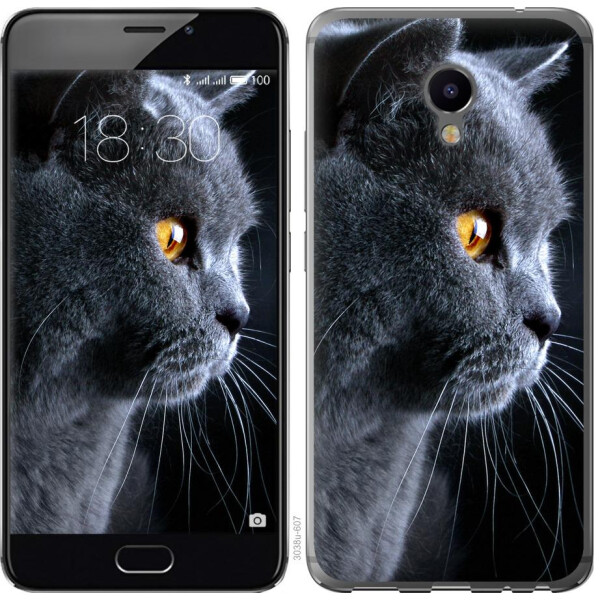 

Чехол на Meizu M3e Красивый кот (04798)