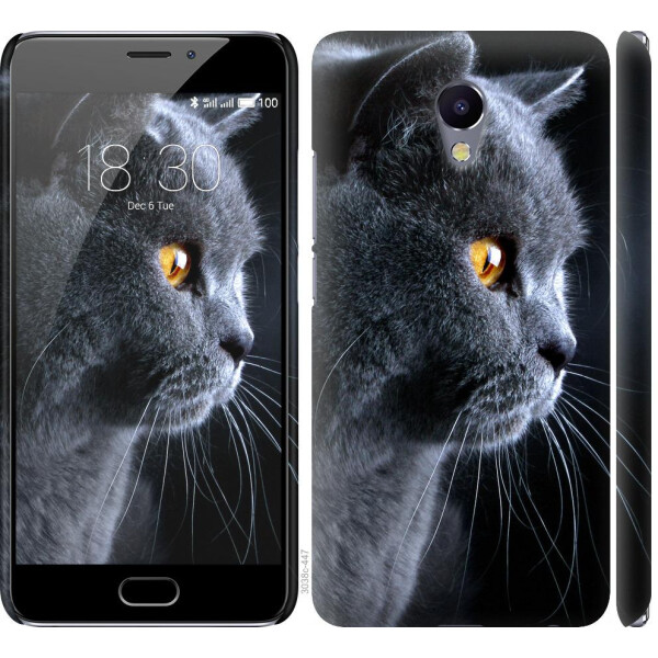 

Чехол на Meizu M5 Note Красивый кот (04798)