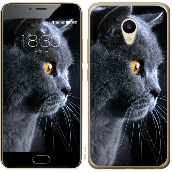 

Чехол на Meizu M5 Красивый кот (04798)