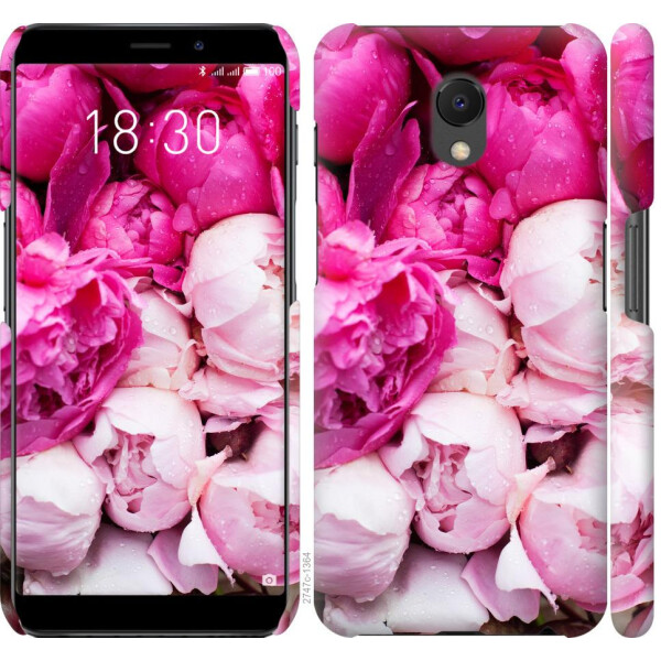 

Чехол на Meizu M6s Розовые пионы (04798)