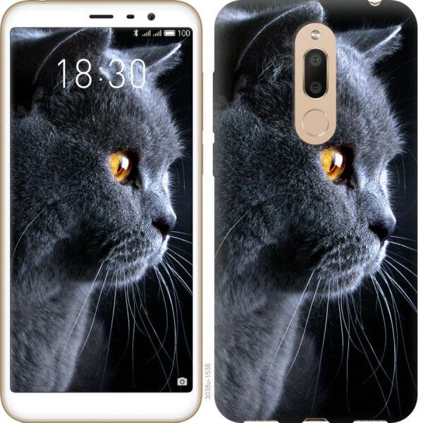 

Чехол на Meizu M6T Красивый кот (04798)