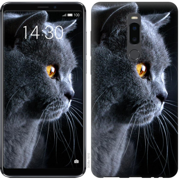 

Чехол на Meizu Note 8 Красивый кот (04798)