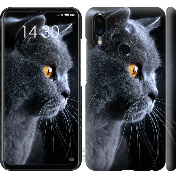 

Чехол на Meizu Note 9 Красивый кот (04798)